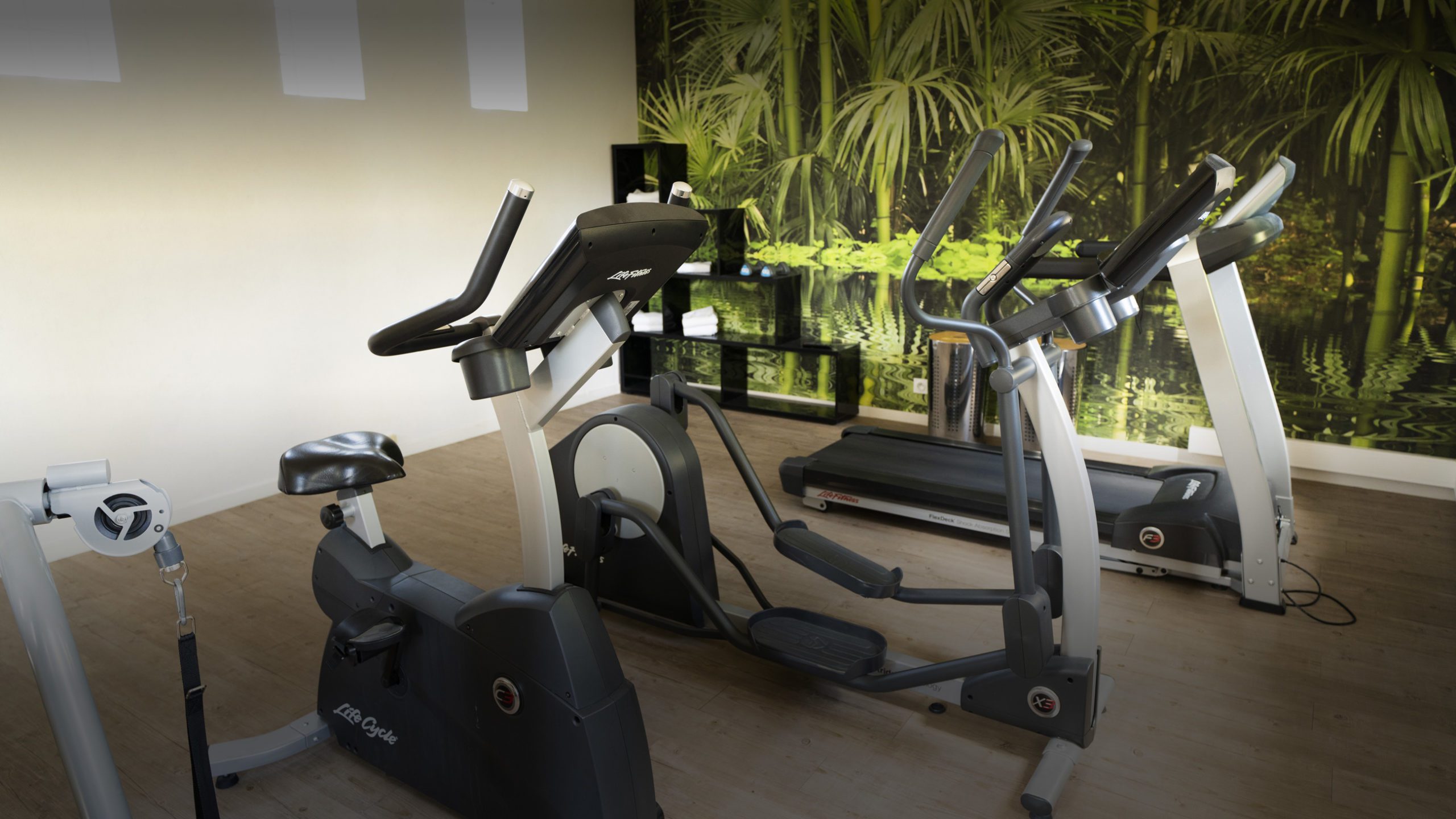 Fitness